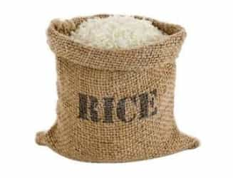 Rice