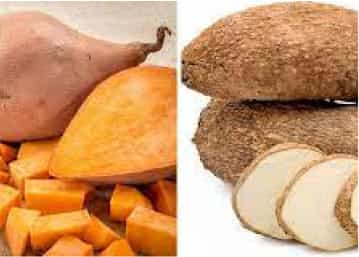 Sweet Potato and Yam